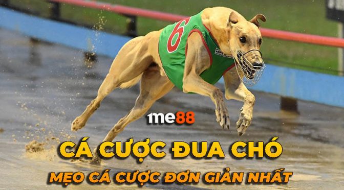 Hình minh họa — Hb88